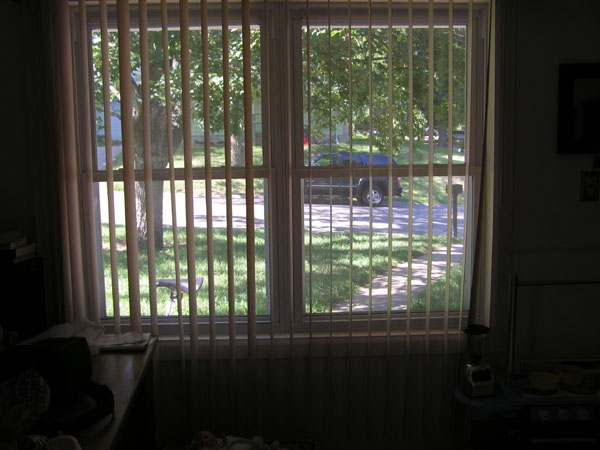 Living_Window