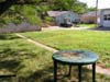 Backyard_2