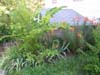 House_SAngle