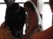 pics from wedding 010
